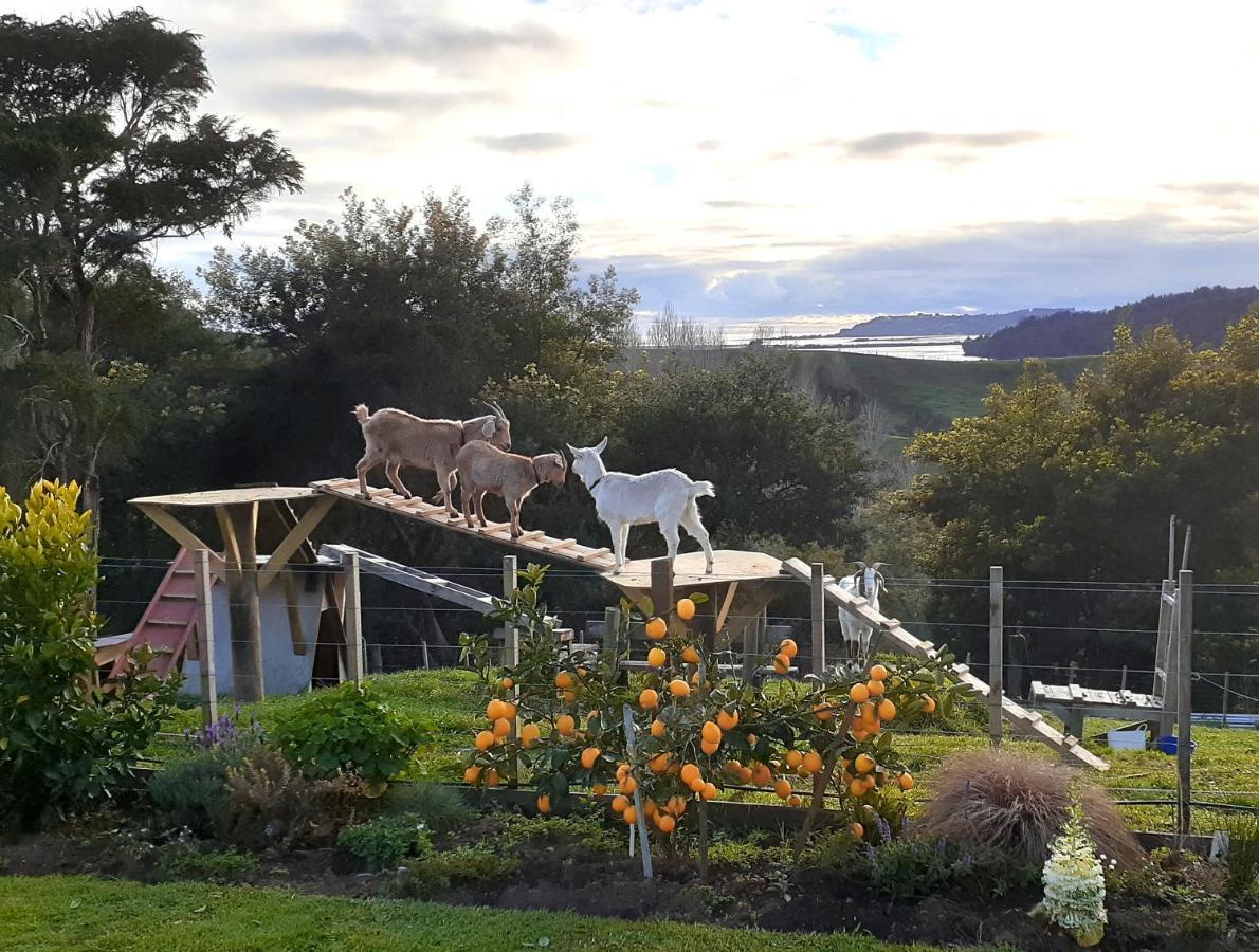 Rangimarie 123 Appartement Wainui  Buitenkant foto